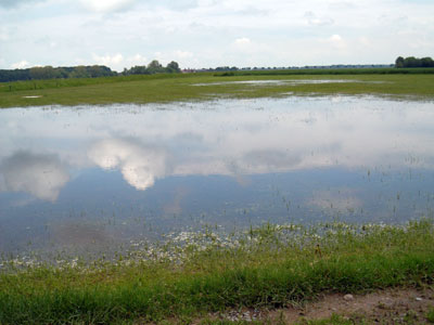 Hochwasser 1