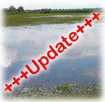 News-Hochwasser Update